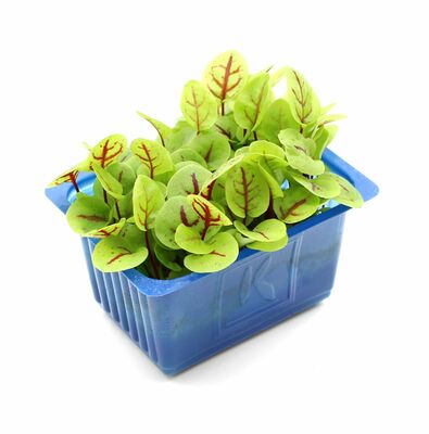 Vňať - Vene cress vanička