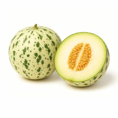 Melón Dino kal.5, I.Tr