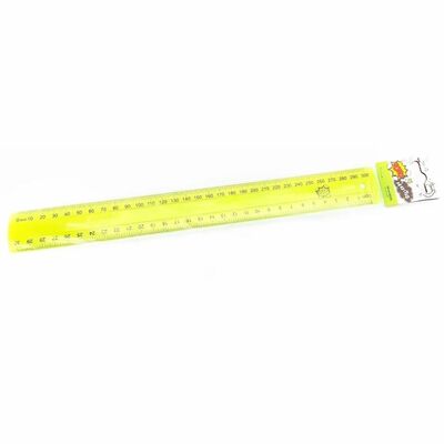 Toto Pravítko Neón 30cm