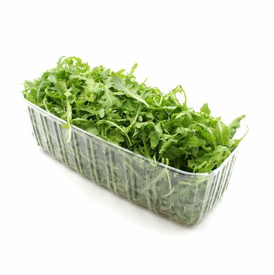 Šalát - Rucola 400g praná, I.trieda
