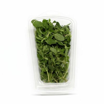 Balené Oregano 30g