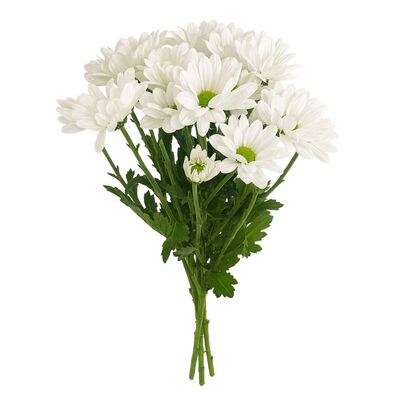 Kytica čerstvých kvetov mix, Chryzantémy 3ks