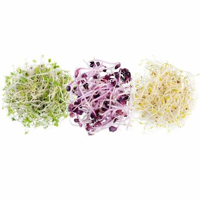 Klíčky mix Trio 3x20g