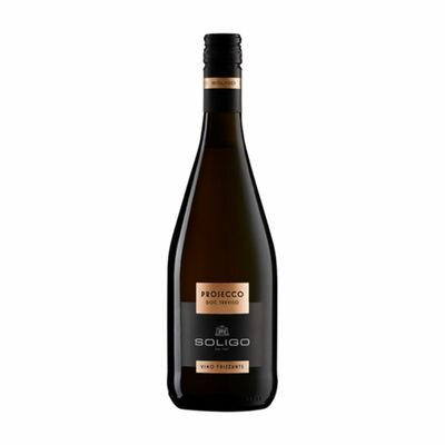 Prosecco Treviso DOC Frizzante Soligo 0,75l