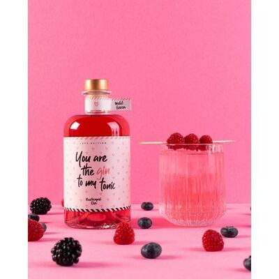 You Are The Gin To My Tonic 41% 0,5 l
