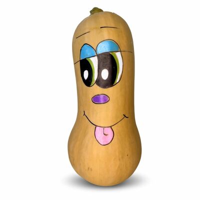 Tekvica maľovaná, I.trieda