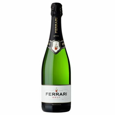 Víno šumivé b. suché Brut DOC, Ferrari 0,75l IT