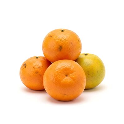 Mandarinka Satsumas ukl. kal.1-1xx VÝPREDAJ