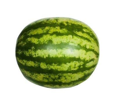 Melón červený vodový Zagora kal.10+DZ