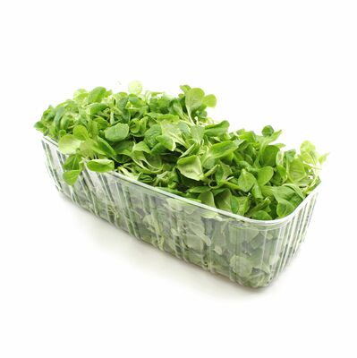 Šalát poľný - Valerián 400g praný ,I.Tr