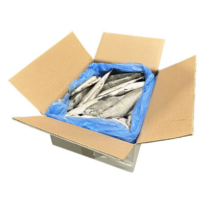 Mrazený Pstruh dúhový pitvavný celý 250-300g, 10% 5kg