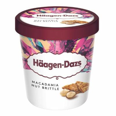 Mr.Häagen-Dazs zmrzlina Makadamové orechy 460ml