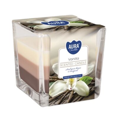 Vonná sviečka Vanilla 170g Bispol