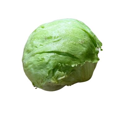 Šalát ľadový kal.10 ,I.Tr VÝPREDAJ