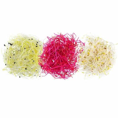 Klíčky mix Trio 3x20g