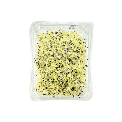 Klíčky cesnakové 50g