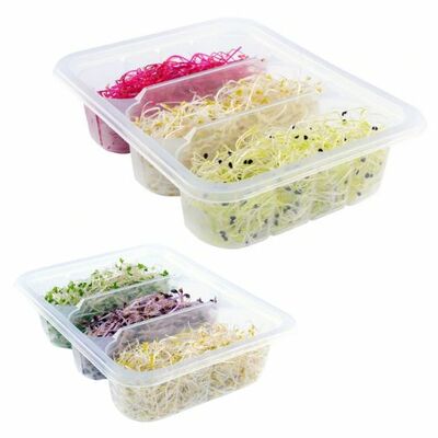 Klíčky mix Trio 3x20g