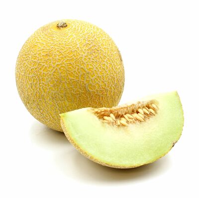 Melón žltý Galia kal.6 ,I.Tr