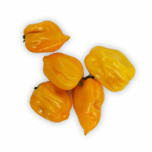 Paprika - chili papričky Habanero žlté, I.trieda