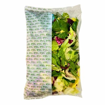 Šalát mix č.31 500g