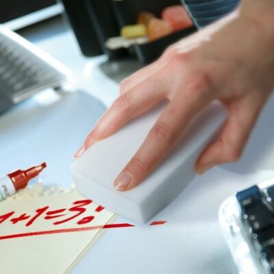 Vileda Miraclean hubka 4ks