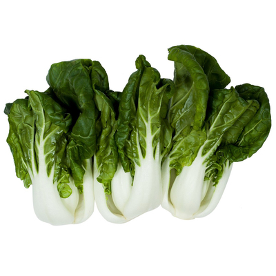 Šalát Pak Choi baby I.tr.
