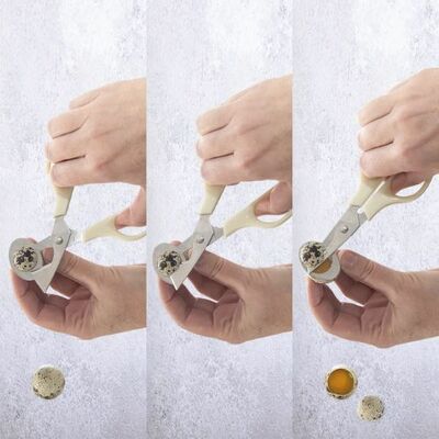 Orion Nožnice na prepeličie vajíčka