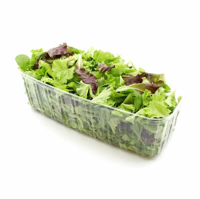 Šalát - Mix Trhaný 400g praný, I.trieda