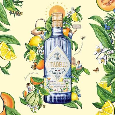 Citadelle  Jardin D´été Gin 41,5% 0,7 l