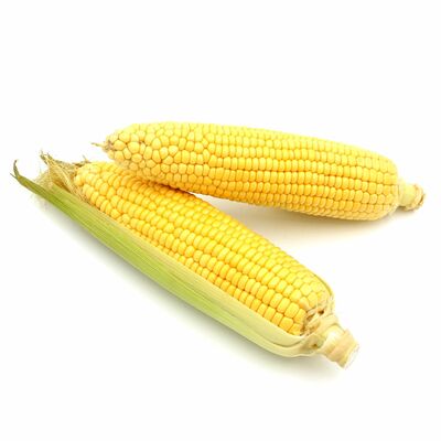 Kukurica cukrová čerstvá klas 1ks (200g+), I. Tr.