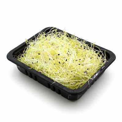 Klíčky pórové 50g