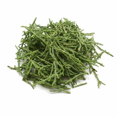Salicornia (Seacorel) ,I.Tr