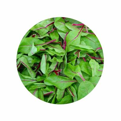 Šalát - Red chard 125g