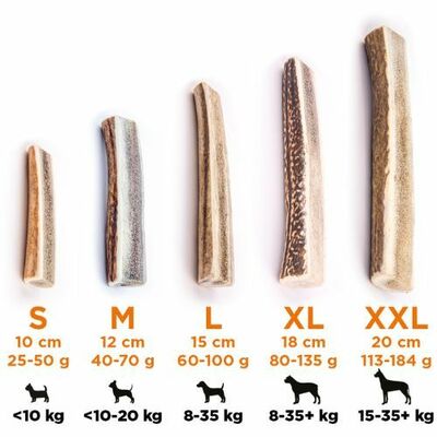 Explorer dog Žuvací jelení paroh L tvrdý