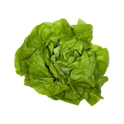 Šalát hlávkový kal.130+, I.trieda