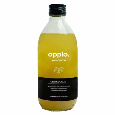 Kombucha Gentle Ginger 330ml oppio.