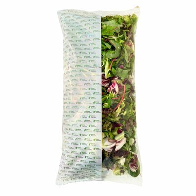 Šalát mix č.32 500g