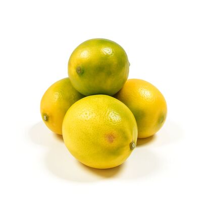  Citrón Primofiori ukladaný kal. 4-5 VÝPREDAJ