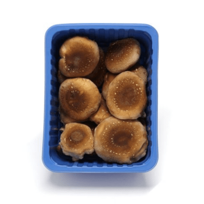 Shiitake huba (húževnatec jedlý) 200g