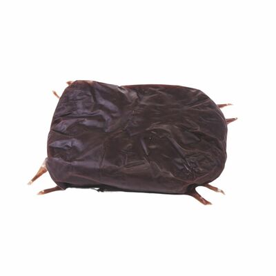 Hoisin omáčka 500g Beef House