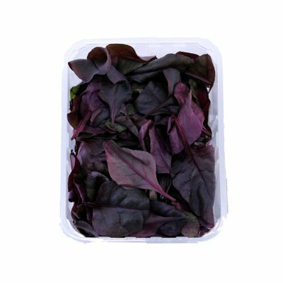 Šalát - Bull blood 125g ,I.Tr