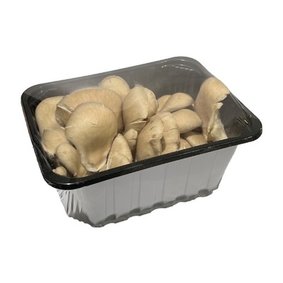 Hliva ustricová balená 300g, I.trieda