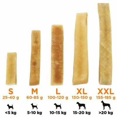 Explorer dog Himalájska tyčka S