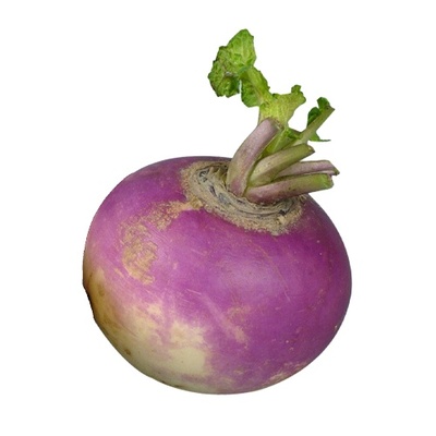 Kvaka turnip, I.trieda