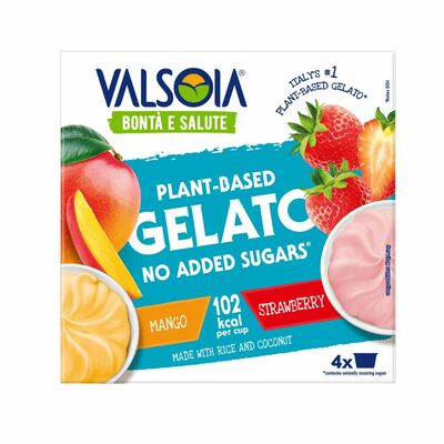Mr.Valsoia zmrzlina Ovocný mix 4x129ml