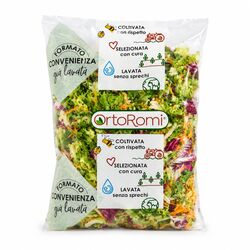Šalát mix Primavera, 1000 g