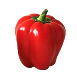 Paprika červená California kal. GG, VÝPREDAJ