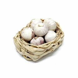 Cesnak jednostrúčkový 250g ,I.Tr