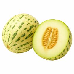 Melón Dino kal.5, I.Tr