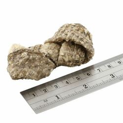 Fish4dogs Dental Sea Jerky : uzlíky 100g